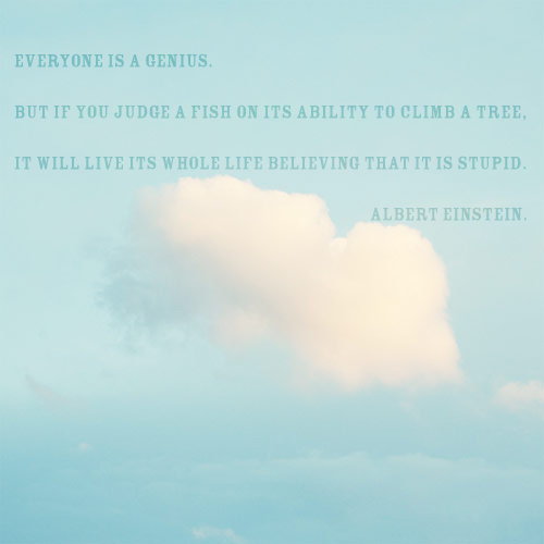 Everyone is a genius.  But if you judge a fish on its ability to climb a tree,  it will live its whole life believing that it is stupid.   Albert Einstein.