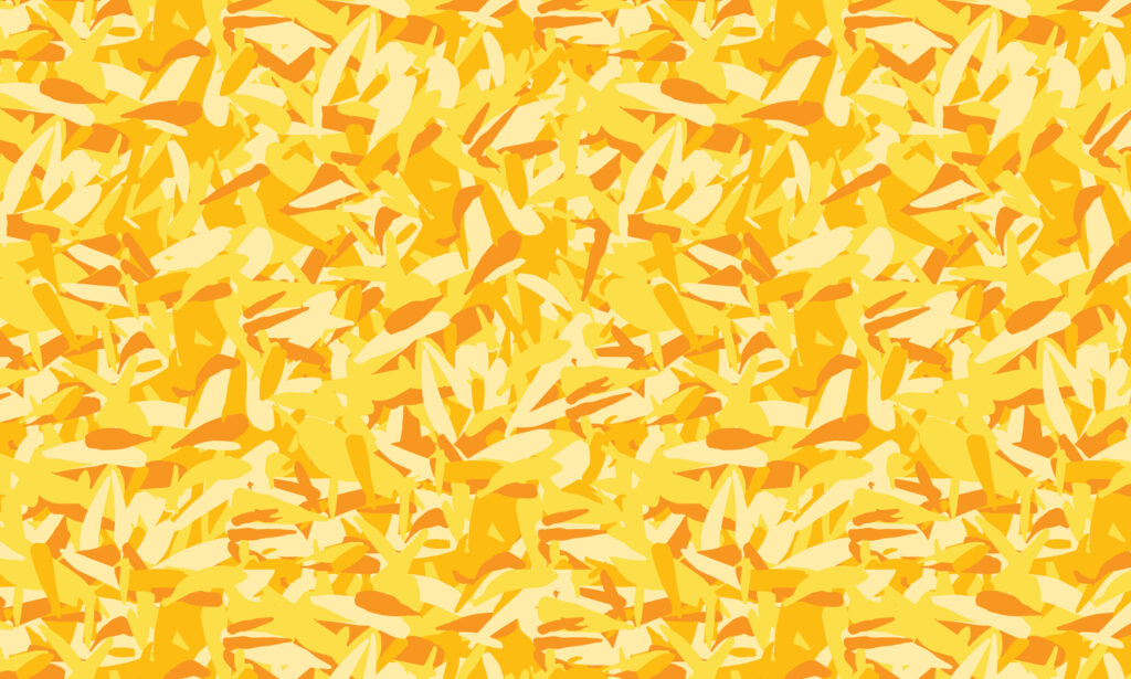 Yellow dandelion petals